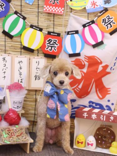 20240728ネネちゃん